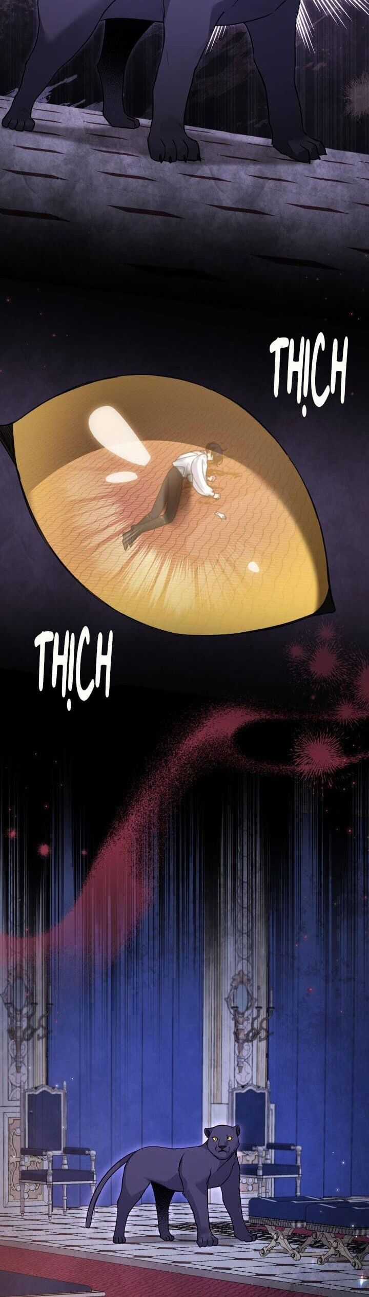 Quan Hệ Cộng Sinh Giữa Hắc Báo Và Bạch Thỏ Chapter 115 trang 19