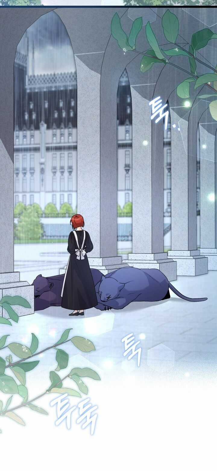 Quan Hệ Cộng Sinh Giữa Hắc Báo Và Bạch Thỏ Chapter 121 trang 15