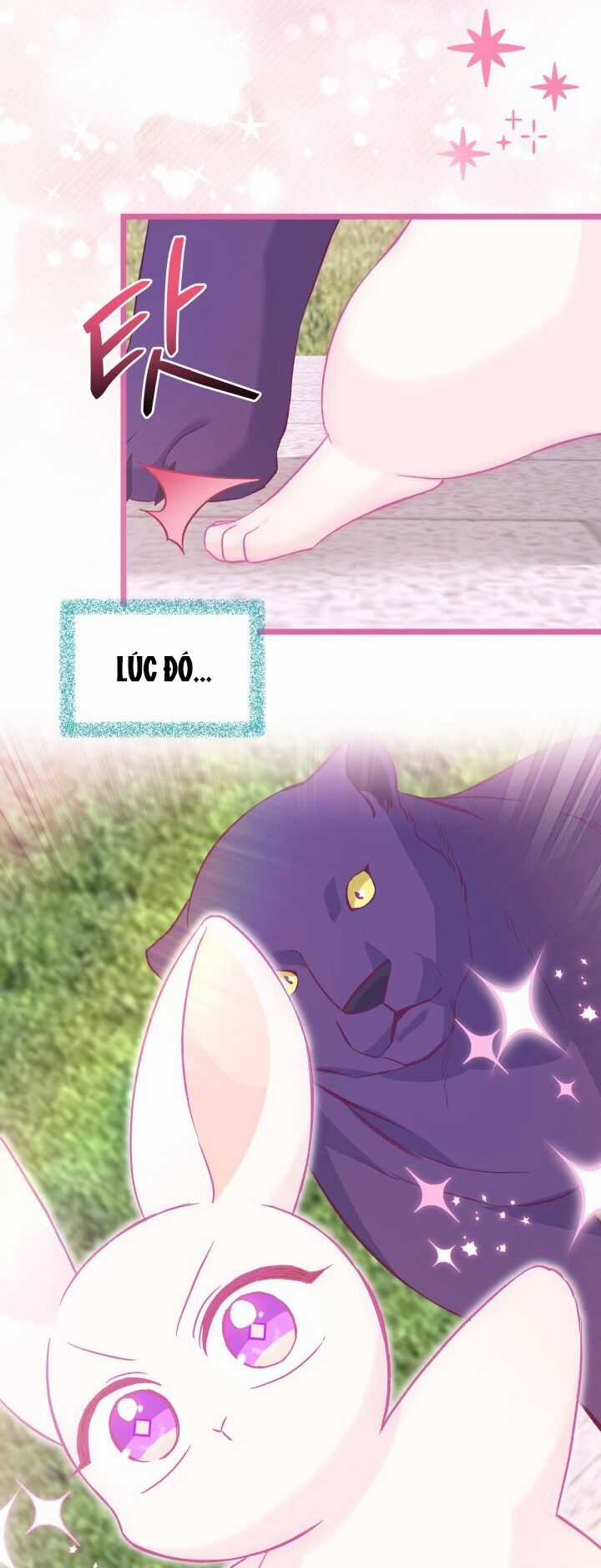 Quan Hệ Cộng Sinh Giữa Hắc Báo Và Bạch Thỏ Chapter 121 trang 21