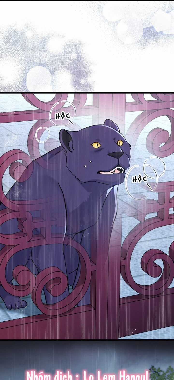 Quan Hệ Cộng Sinh Giữa Hắc Báo Và Bạch Thỏ Chapter 121 trang 39