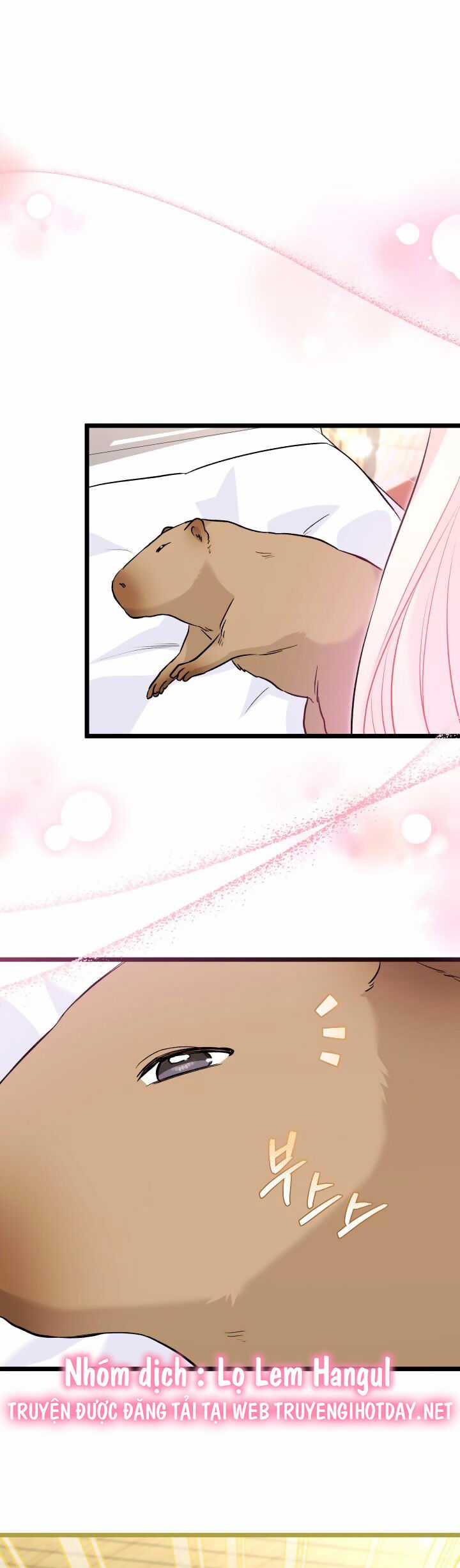 Quan Hệ Cộng Sinh Giữa Hắc Báo Và Bạch Thỏ Chapter 123 trang 20