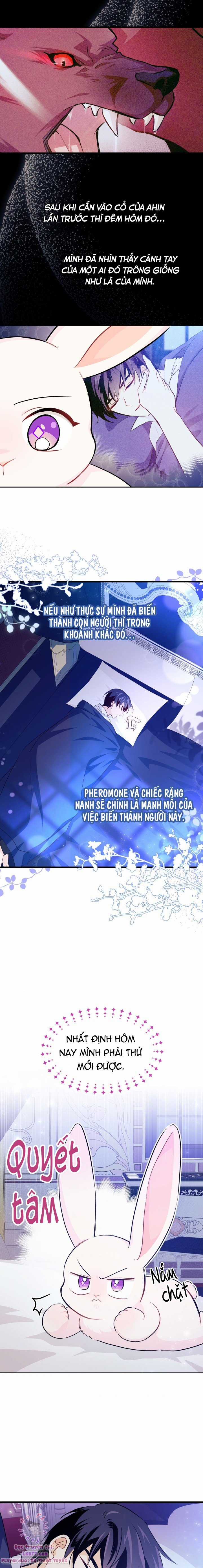 Quan Hệ Cộng Sinh Giữa Hắc Báo Và Bạch Thỏ Chapter 16 trang 11