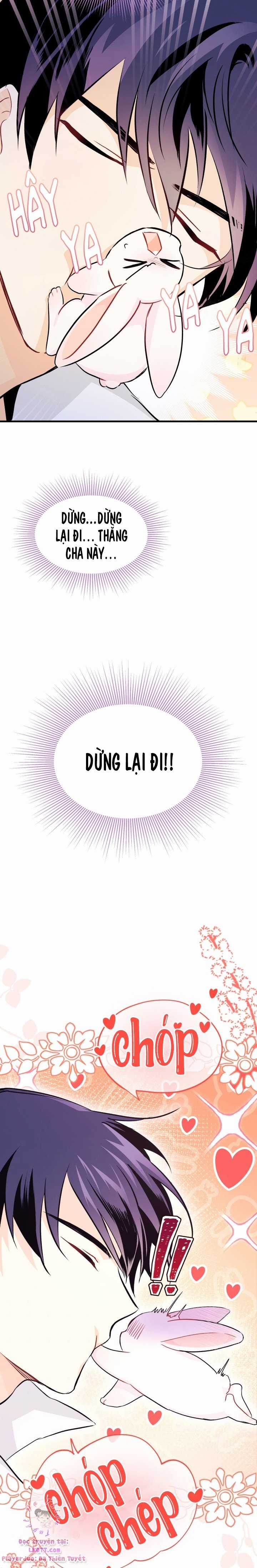 Quan Hệ Cộng Sinh Giữa Hắc Báo Và Bạch Thỏ Chapter 16 trang 16