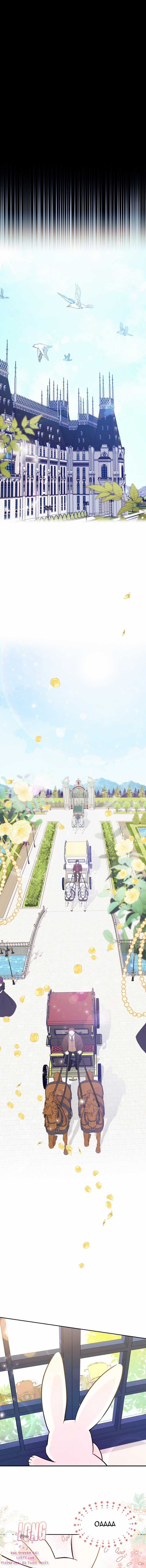 Quan Hệ Cộng Sinh Giữa Hắc Báo Và Bạch Thỏ Chapter 16 trang 18