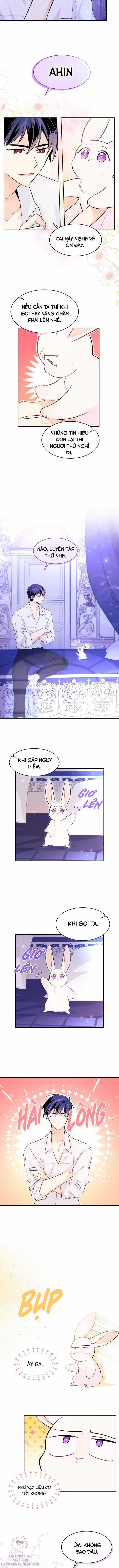 Quan Hệ Cộng Sinh Giữa Hắc Báo Và Bạch Thỏ Chapter 16 trang 6