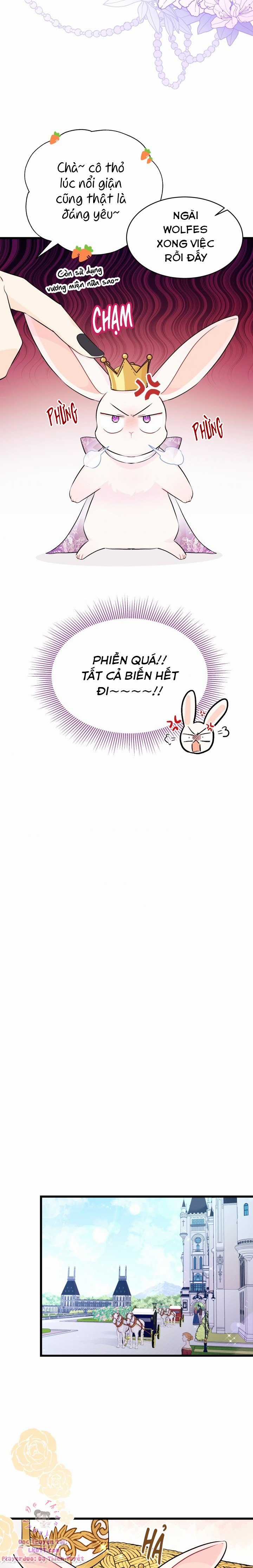 Quan Hệ Cộng Sinh Giữa Hắc Báo Và Bạch Thỏ Chapter 17 trang 14