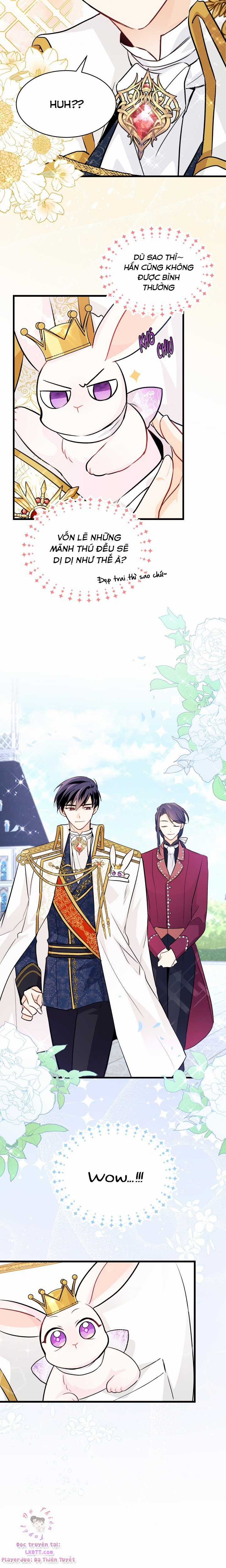 Quan Hệ Cộng Sinh Giữa Hắc Báo Và Bạch Thỏ Chapter 17 trang 17