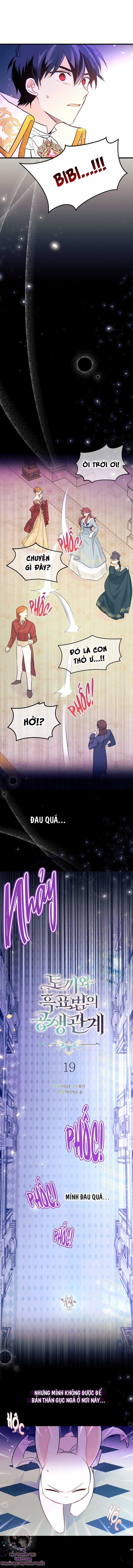Quan Hệ Cộng Sinh Giữa Hắc Báo Và Bạch Thỏ Chapter 19 trang 2