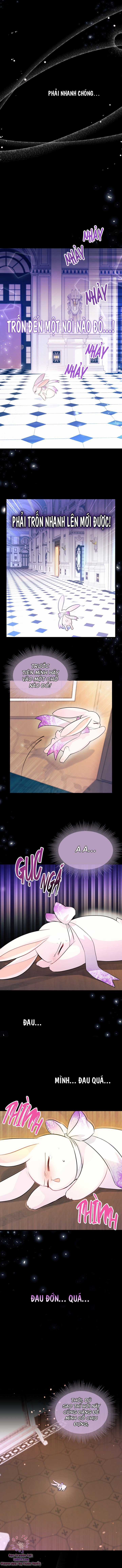 Quan Hệ Cộng Sinh Giữa Hắc Báo Và Bạch Thỏ Chapter 19 trang 3