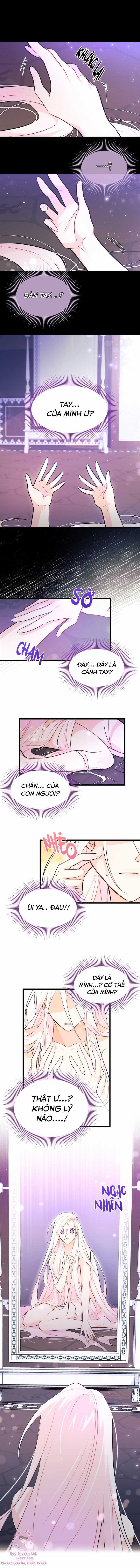 Quan Hệ Cộng Sinh Giữa Hắc Báo Và Bạch Thỏ Chapter 19 trang 5