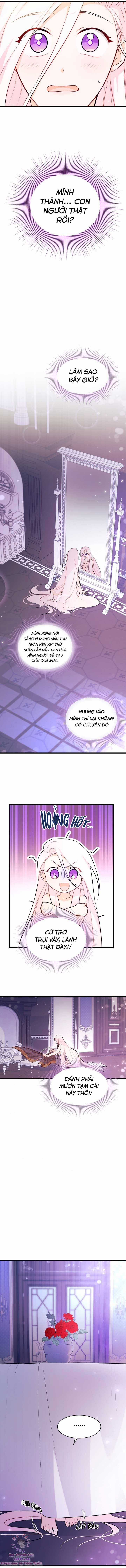 Quan Hệ Cộng Sinh Giữa Hắc Báo Và Bạch Thỏ Chapter 19 trang 7