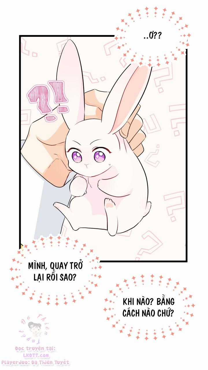 Quan Hệ Cộng Sinh Giữa Hắc Báo Và Bạch Thỏ Chapter 21 trang 17