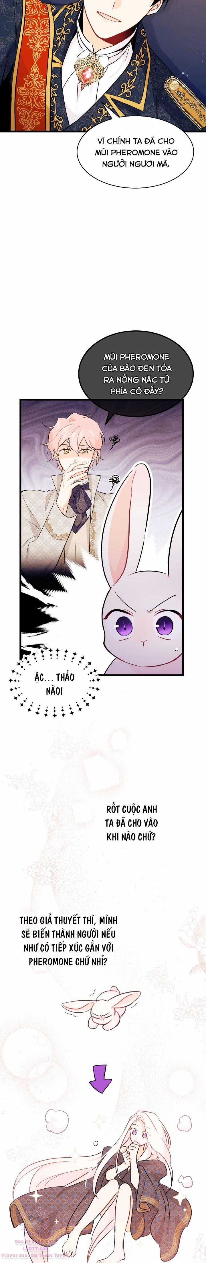 Quan Hệ Cộng Sinh Giữa Hắc Báo Và Bạch Thỏ Chapter 22 trang 11
