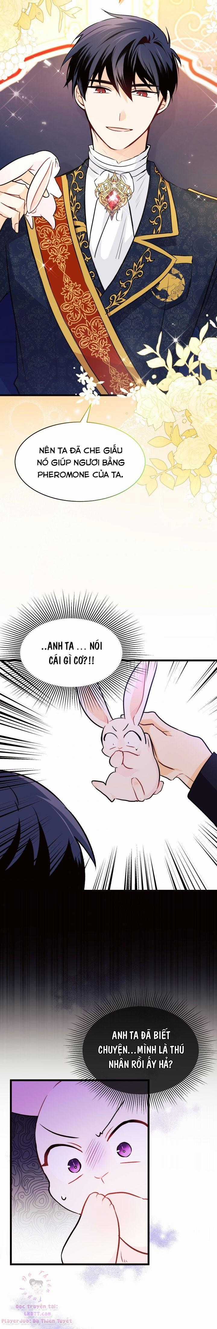 Quan Hệ Cộng Sinh Giữa Hắc Báo Và Bạch Thỏ Chapter 22 trang 13