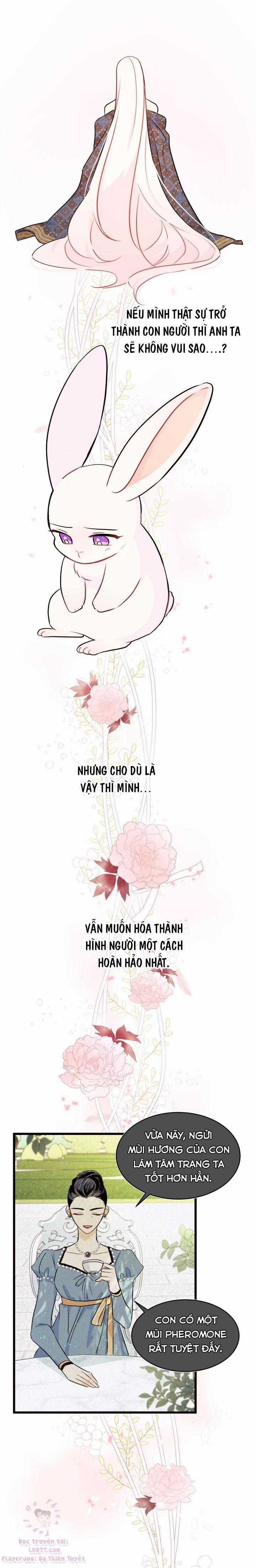 Quan Hệ Cộng Sinh Giữa Hắc Báo Và Bạch Thỏ Chapter 22 trang 18