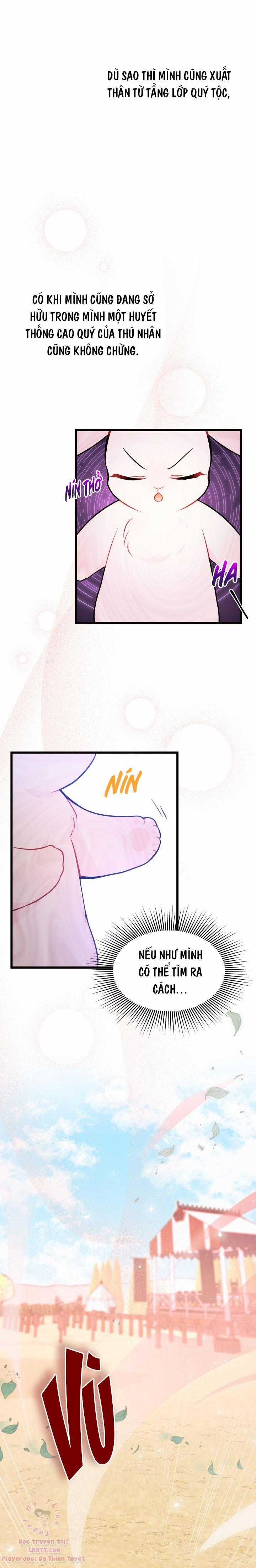Quan Hệ Cộng Sinh Giữa Hắc Báo Và Bạch Thỏ Chapter 22 trang 20