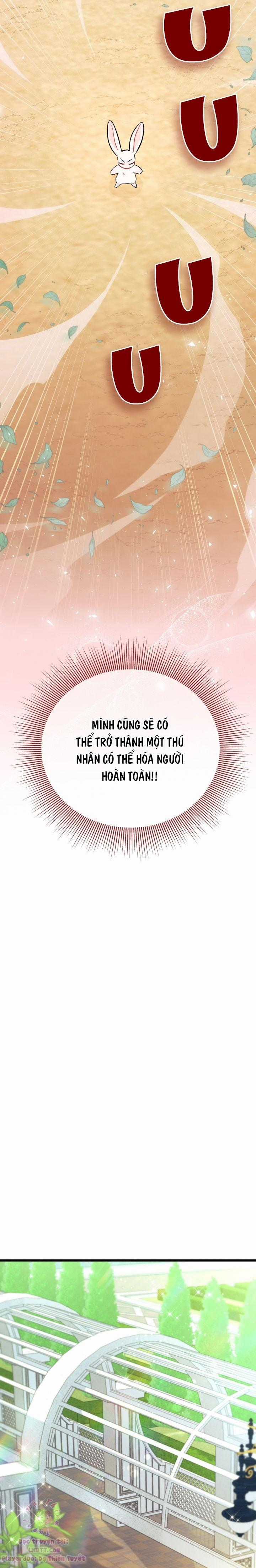 Quan Hệ Cộng Sinh Giữa Hắc Báo Và Bạch Thỏ Chapter 22 trang 21