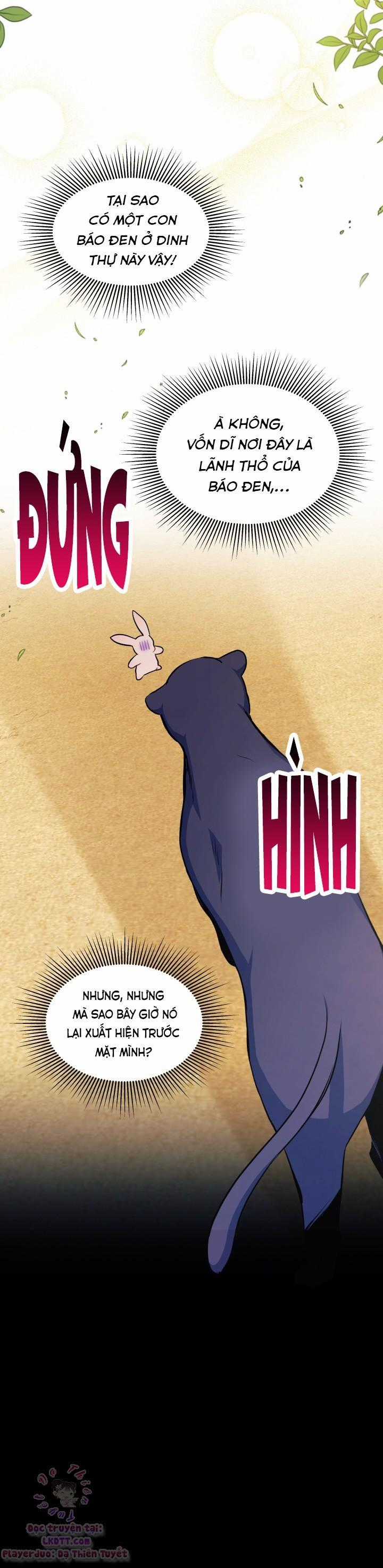 Quan Hệ Cộng Sinh Giữa Hắc Báo Và Bạch Thỏ Chapter 23 trang 12