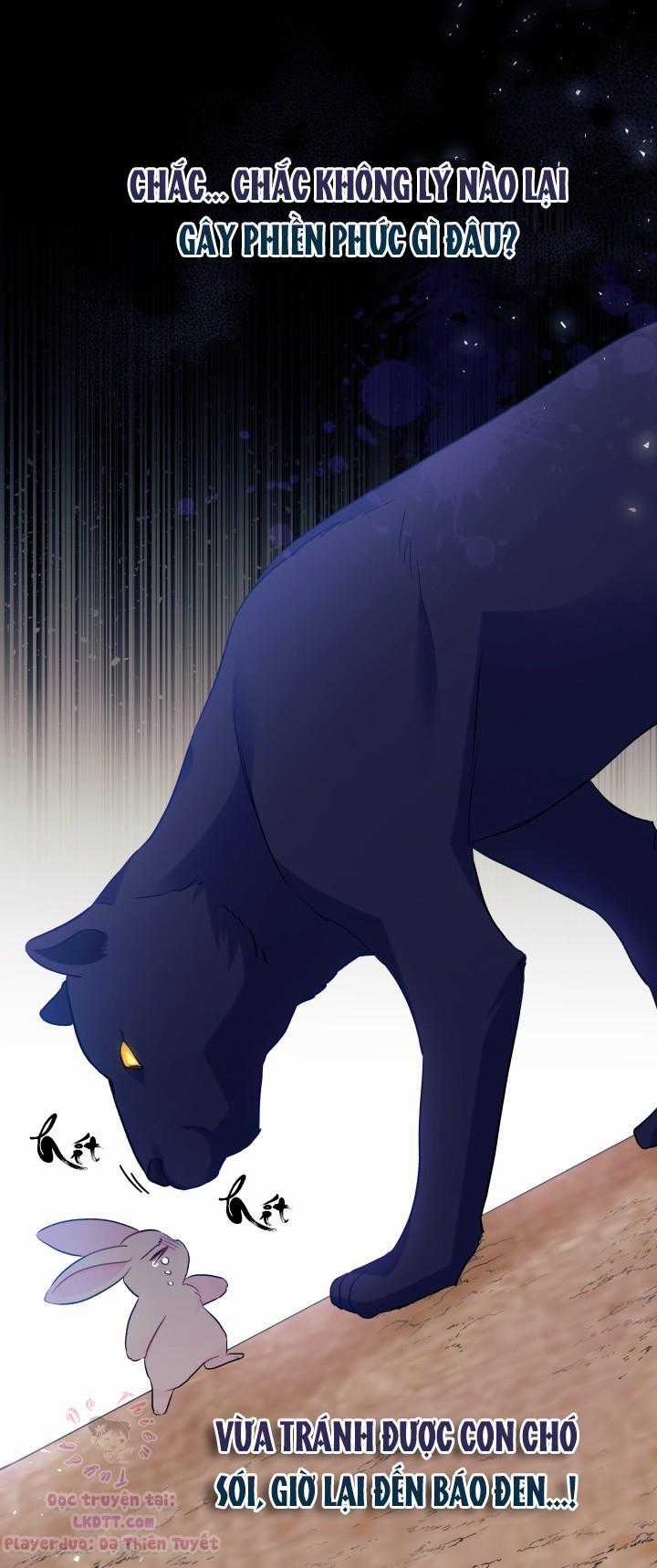 Quan Hệ Cộng Sinh Giữa Hắc Báo Và Bạch Thỏ Chapter 23 trang 16