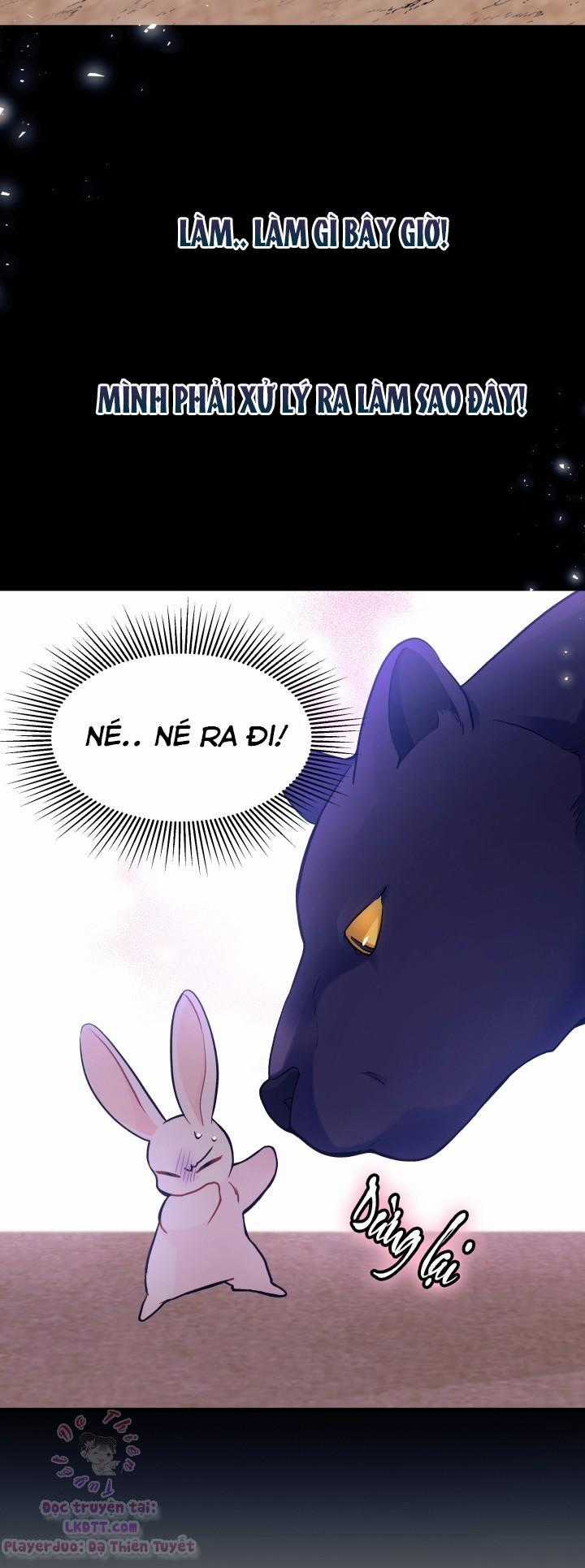 Quan Hệ Cộng Sinh Giữa Hắc Báo Và Bạch Thỏ Chapter 23 trang 17