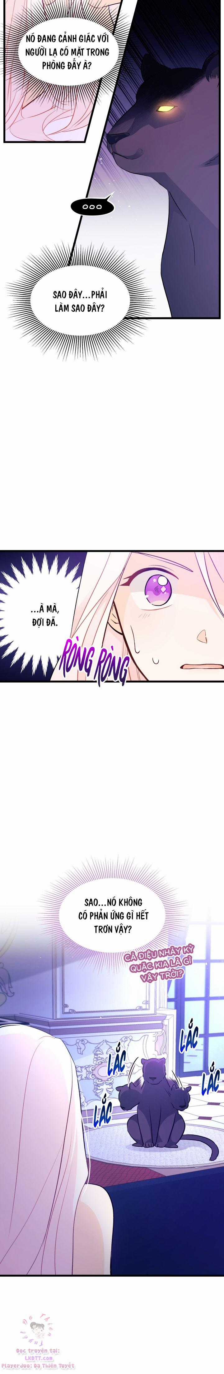 Quan Hệ Cộng Sinh Giữa Hắc Báo Và Bạch Thỏ Chapter 24 trang 7