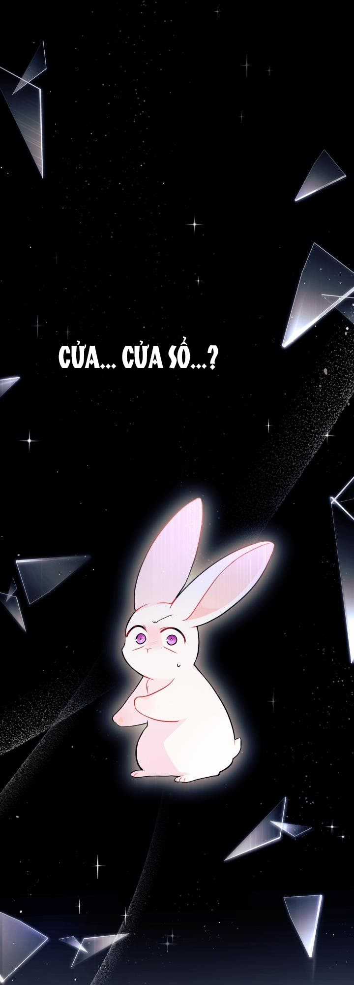 Quan Hệ Cộng Sinh Giữa Hắc Báo Và Bạch Thỏ Chapter 27 trang 36