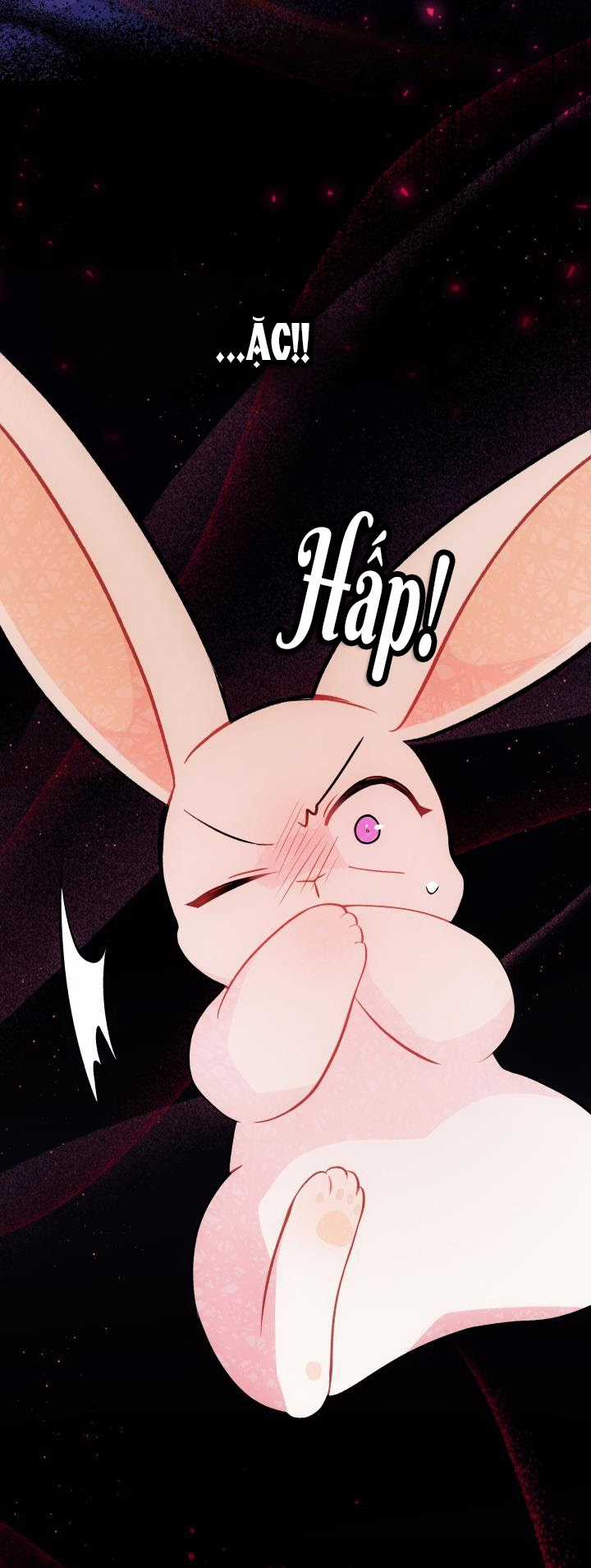 Quan Hệ Cộng Sinh Giữa Hắc Báo Và Bạch Thỏ Chapter 27 trang 39