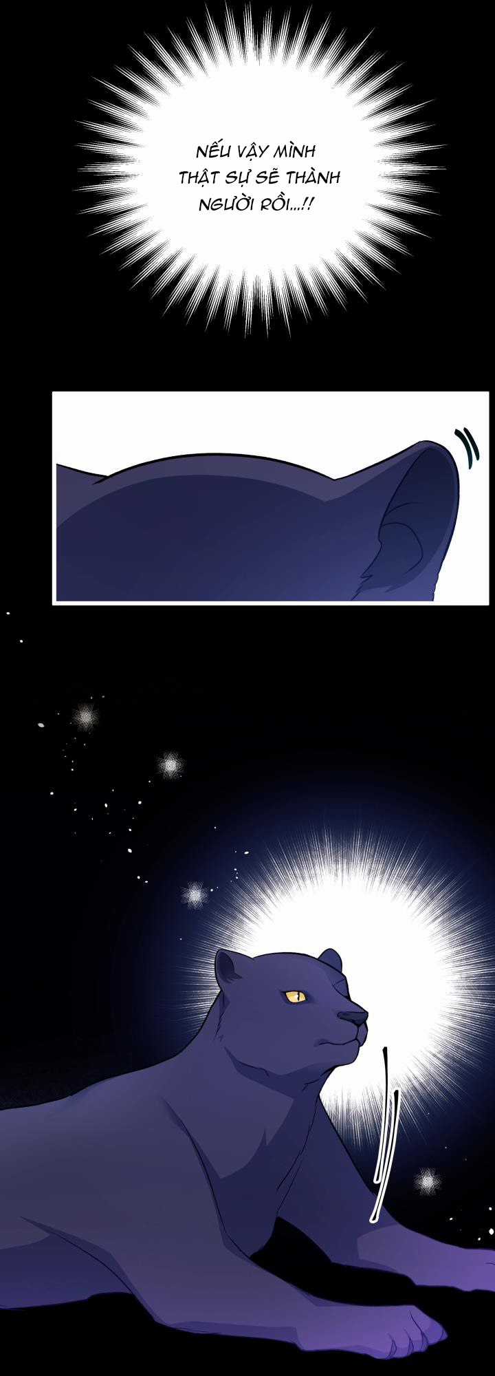 Quan Hệ Cộng Sinh Giữa Hắc Báo Và Bạch Thỏ Chapter 27 trang 52