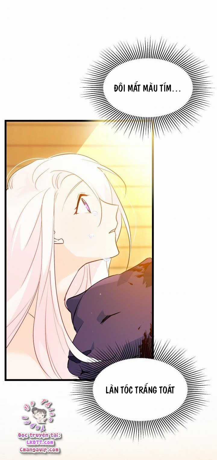 Quan Hệ Cộng Sinh Giữa Hắc Báo Và Bạch Thỏ Chapter 29 trang 84