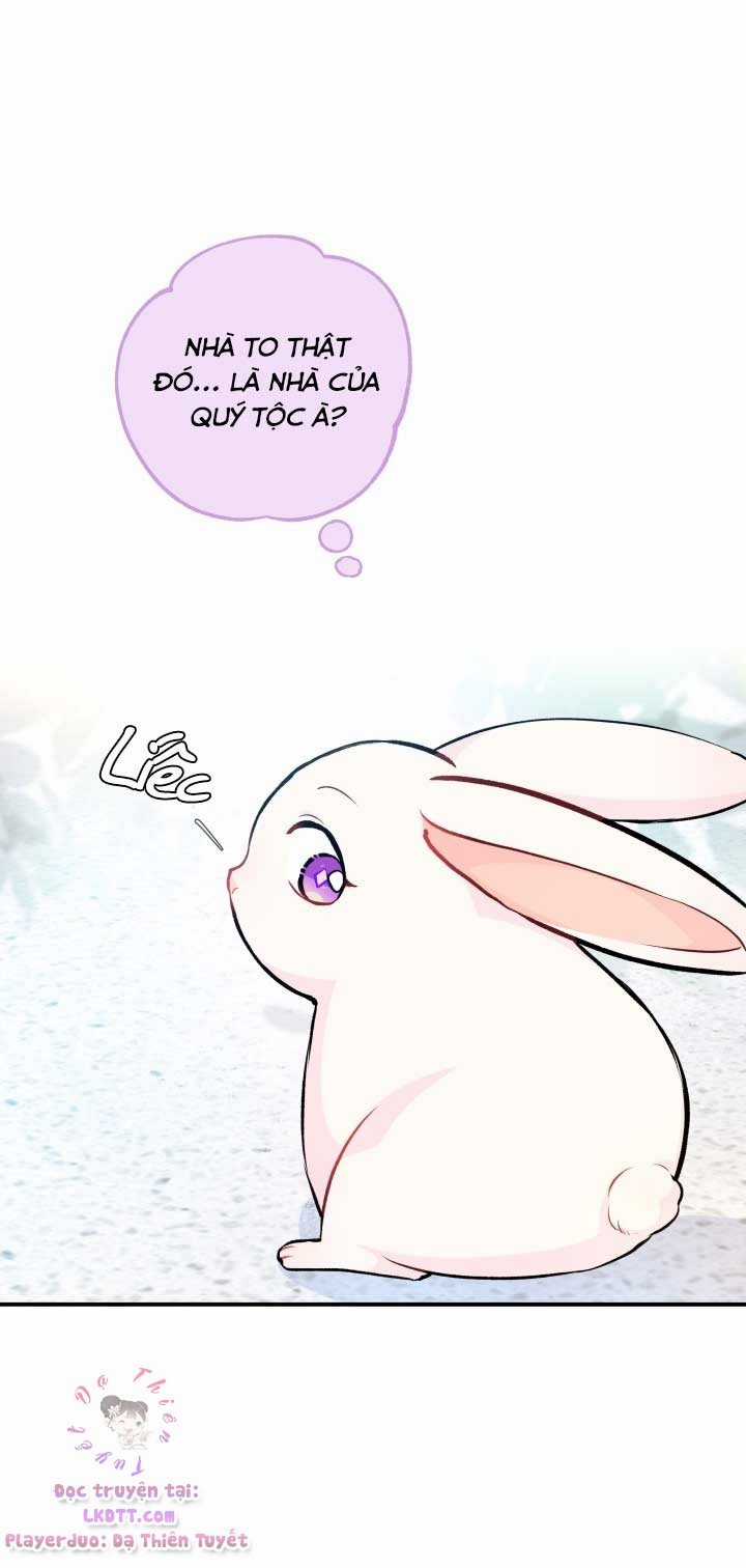 Quan Hệ Cộng Sinh Giữa Hắc Báo Và Bạch Thỏ Chapter 3 trang 43