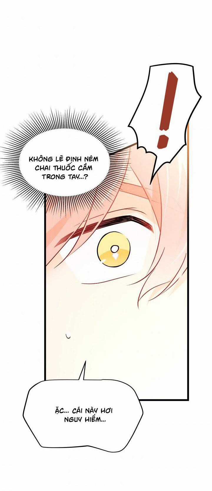 Quan Hệ Cộng Sinh Giữa Hắc Báo Và Bạch Thỏ Chapter 33.1 trang 25