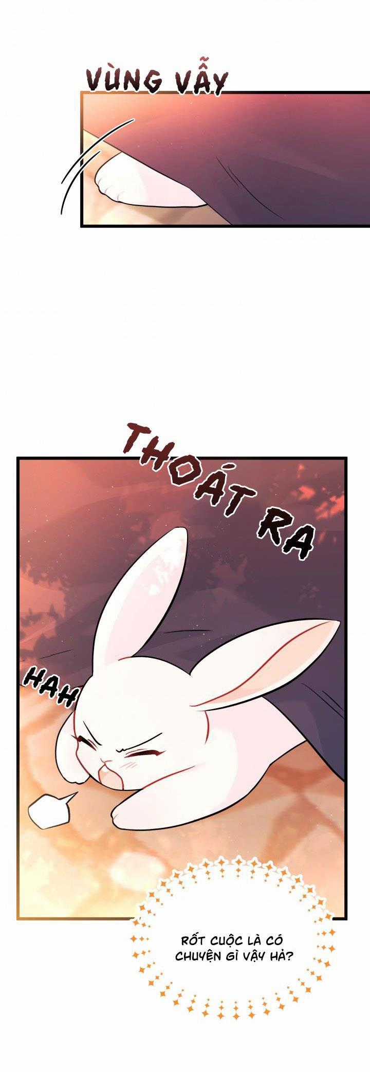 Quan Hệ Cộng Sinh Giữa Hắc Báo Và Bạch Thỏ Chapter 33.2 trang 3