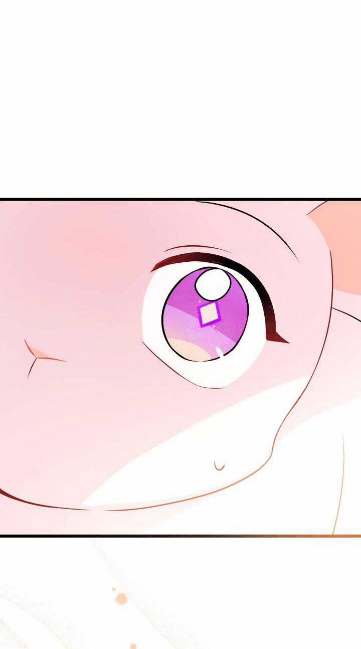 Quan Hệ Cộng Sinh Giữa Hắc Báo Và Bạch Thỏ Chapter 33.2 trang 5