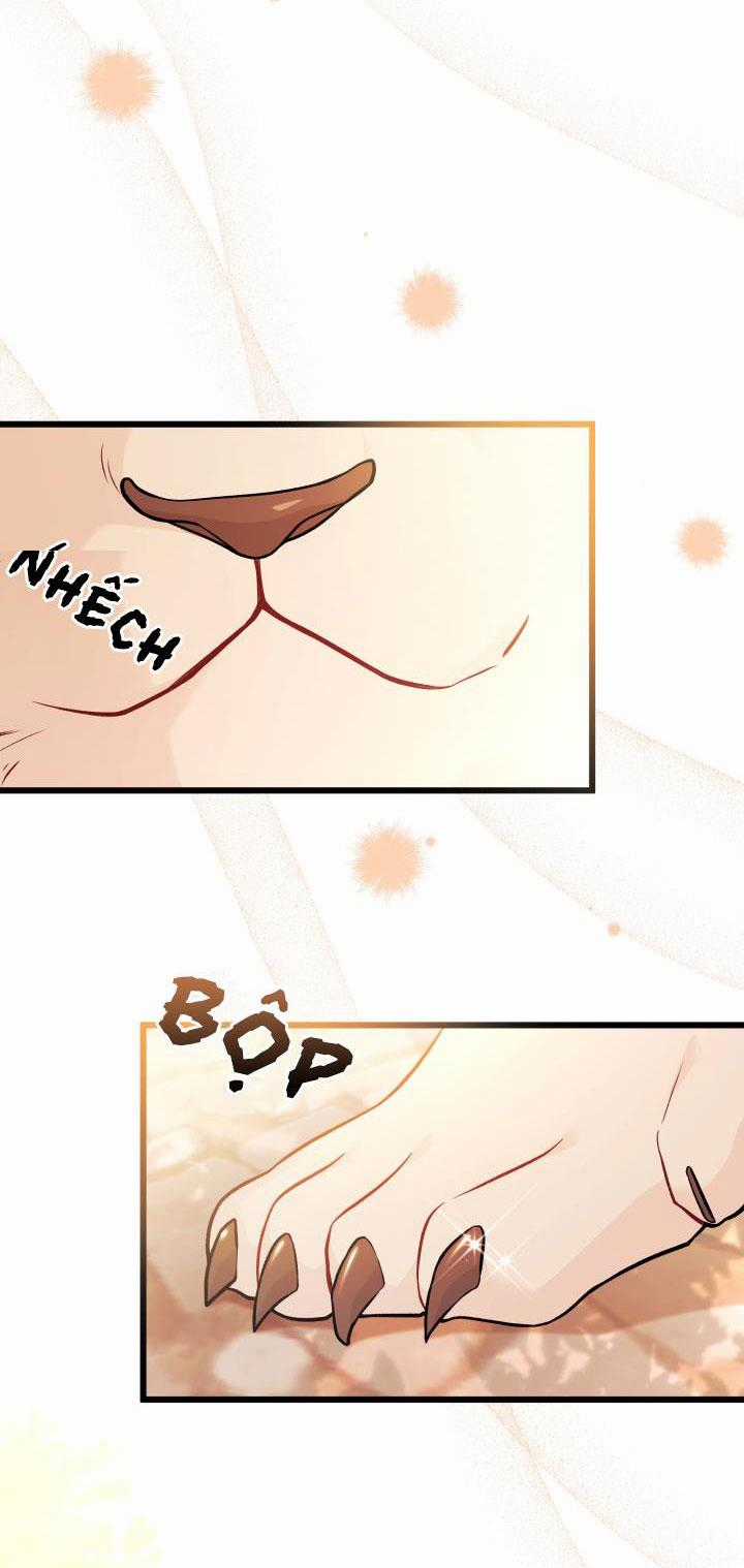Quan Hệ Cộng Sinh Giữa Hắc Báo Và Bạch Thỏ Chapter 33.2 trang 6