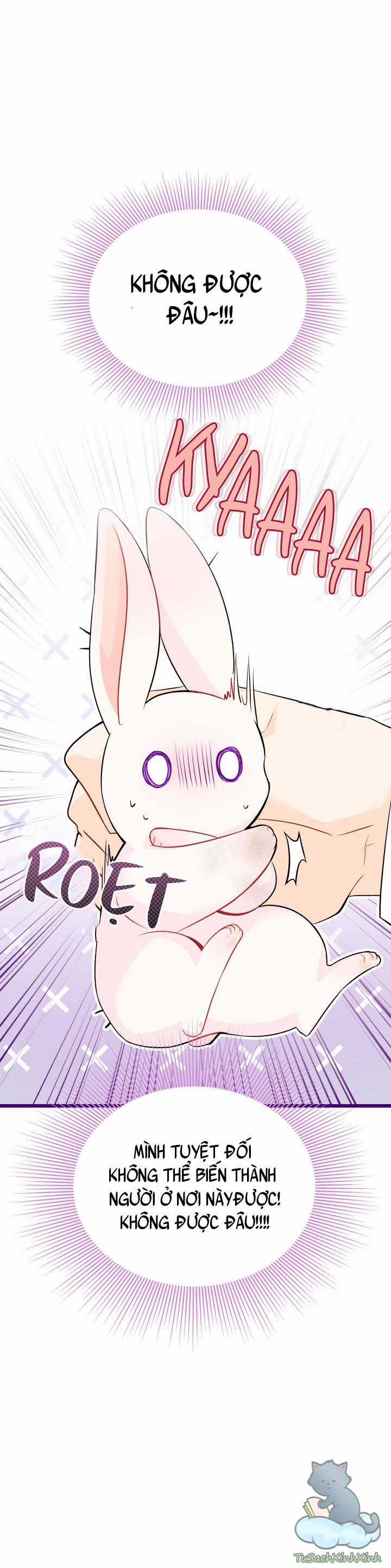 Quan Hệ Cộng Sinh Giữa Hắc Báo Và Bạch Thỏ Chapter 35.5 trang 11