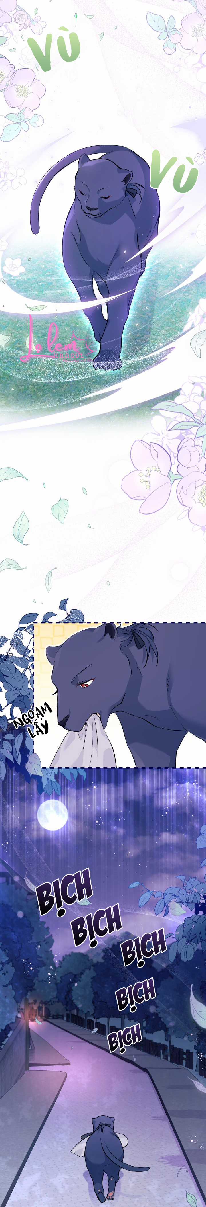 Quan Hệ Cộng Sinh Giữa Hắc Báo Và Bạch Thỏ Chapter 38.1 trang 14