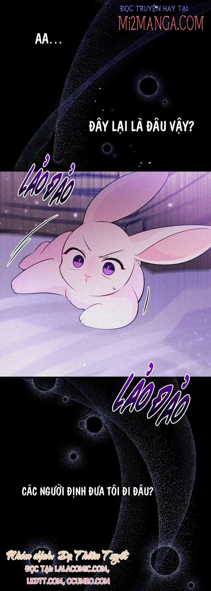 Quan Hệ Cộng Sinh Giữa Hắc Báo Và Bạch Thỏ Chapter 39 trang 10