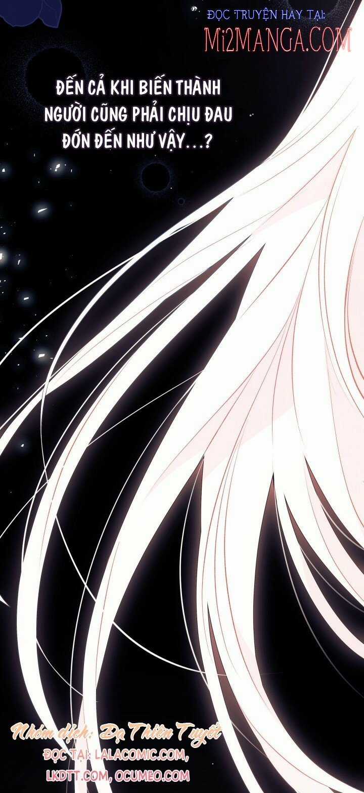 Quan Hệ Cộng Sinh Giữa Hắc Báo Và Bạch Thỏ Chapter 39 trang 17