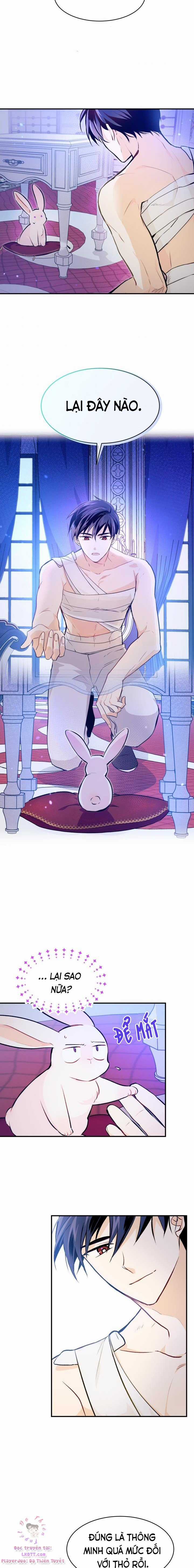 Quan Hệ Cộng Sinh Giữa Hắc Báo Và Bạch Thỏ Chapter 4 trang 11