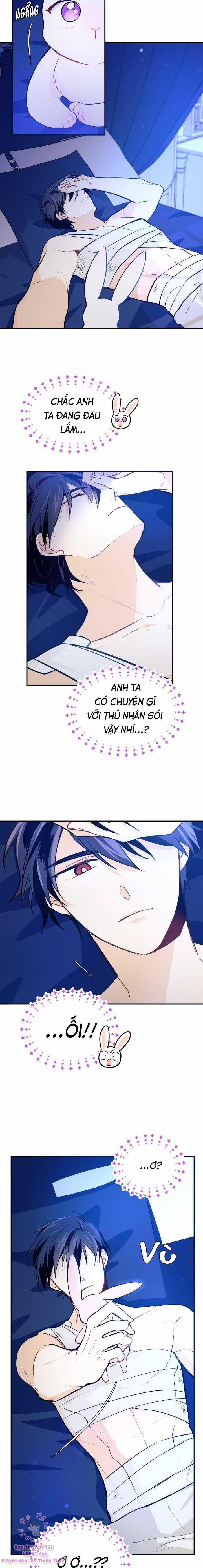 Quan Hệ Cộng Sinh Giữa Hắc Báo Và Bạch Thỏ Chapter 4 trang 16