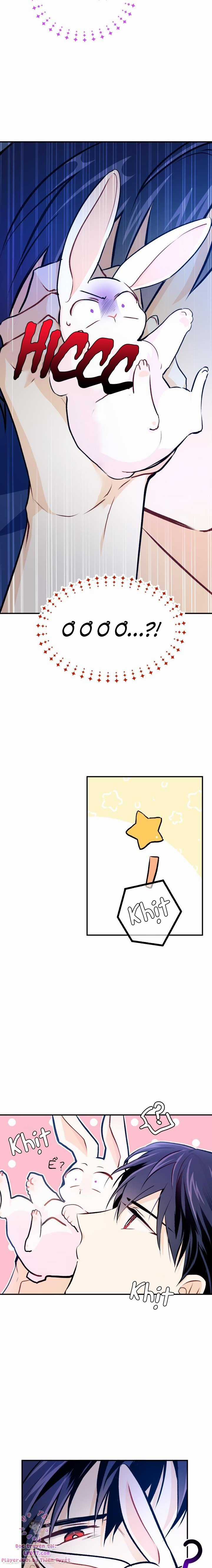 Quan Hệ Cộng Sinh Giữa Hắc Báo Và Bạch Thỏ Chapter 4 trang 17