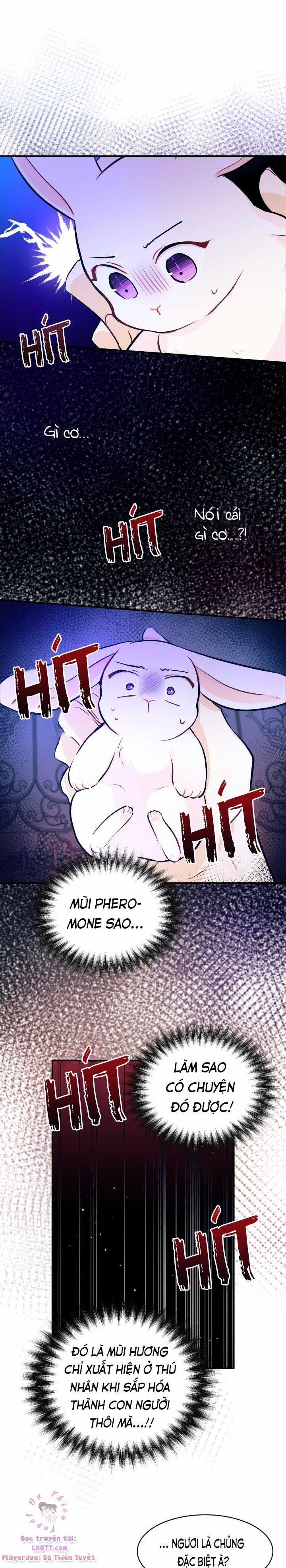 Quan Hệ Cộng Sinh Giữa Hắc Báo Và Bạch Thỏ Chapter 4 trang 19