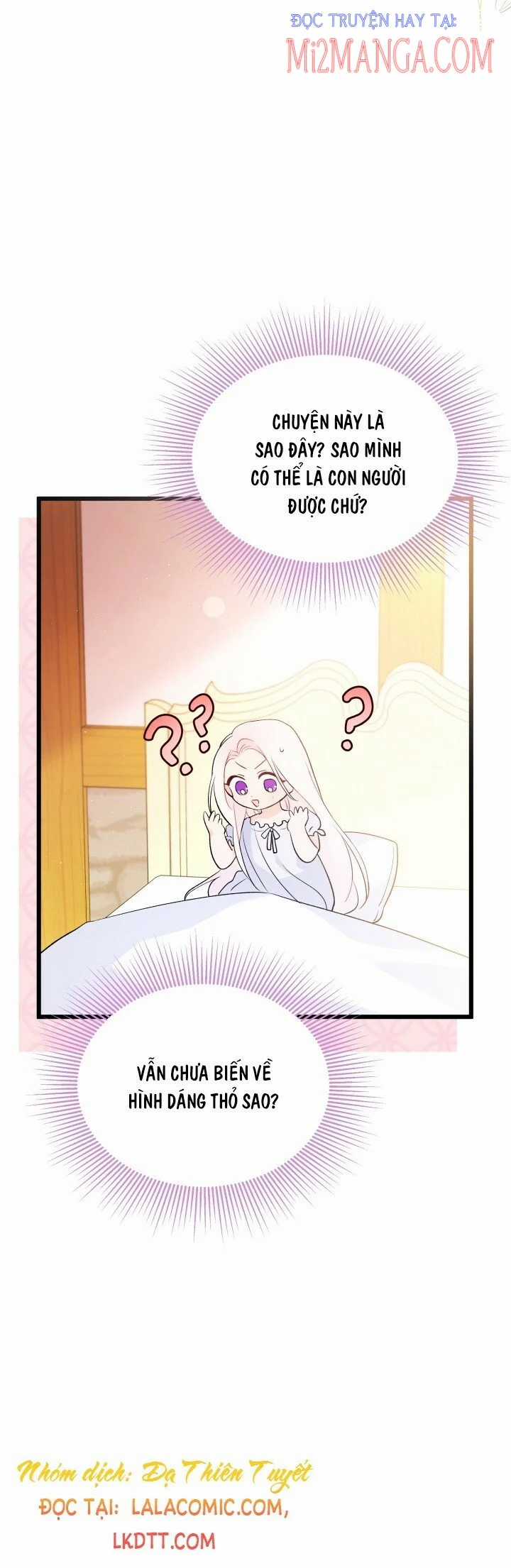 Quan Hệ Cộng Sinh Giữa Hắc Báo Và Bạch Thỏ Chapter 41 trang 17