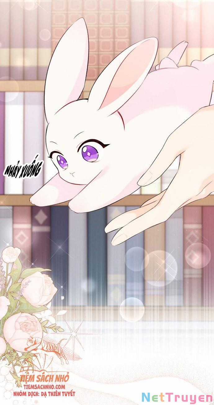 Quan Hệ Cộng Sinh Giữa Hắc Báo Và Bạch Thỏ Chapter 47 trang 47