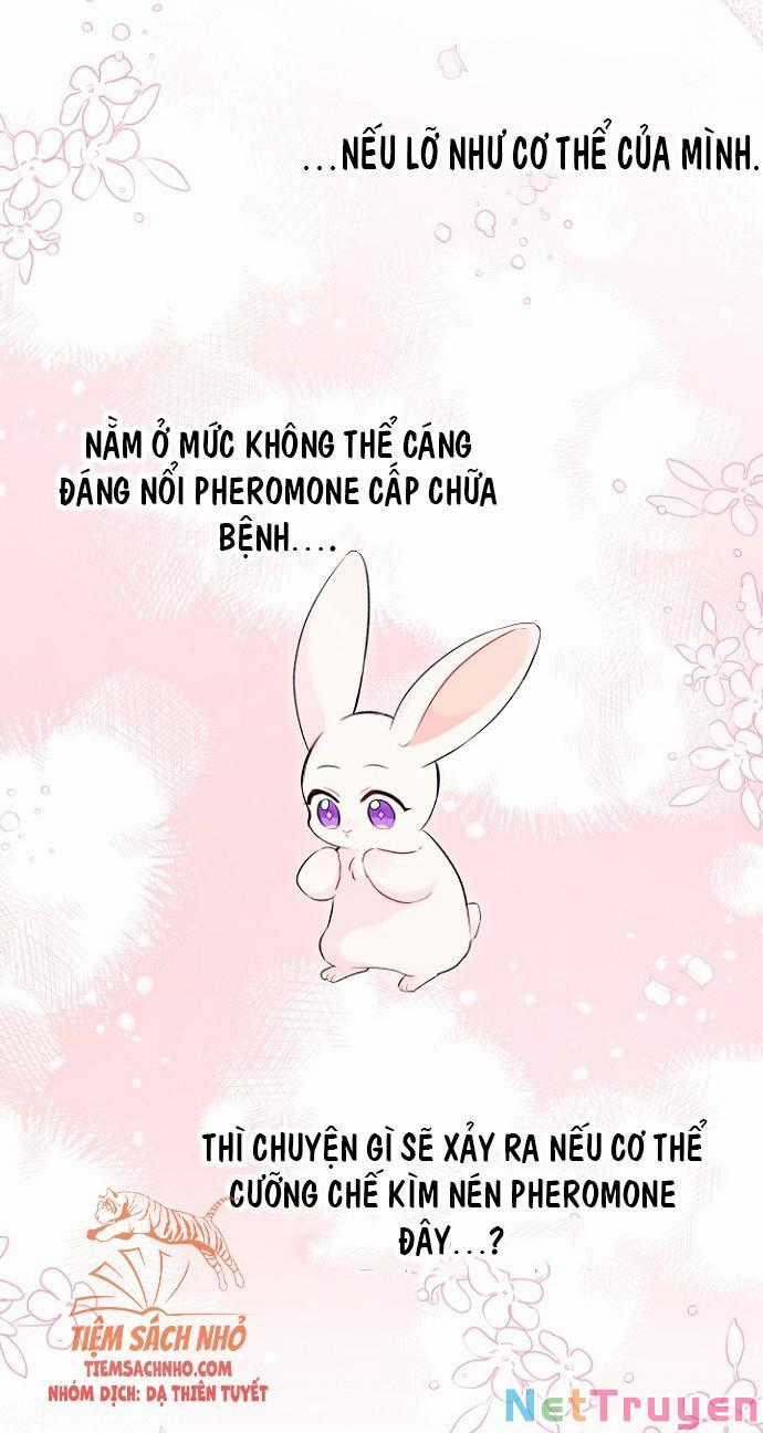 Quan Hệ Cộng Sinh Giữa Hắc Báo Và Bạch Thỏ Chapter 47 trang 66