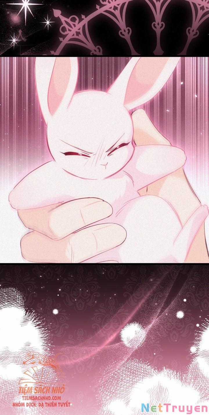 Quan Hệ Cộng Sinh Giữa Hắc Báo Và Bạch Thỏ Chapter 49 trang 63