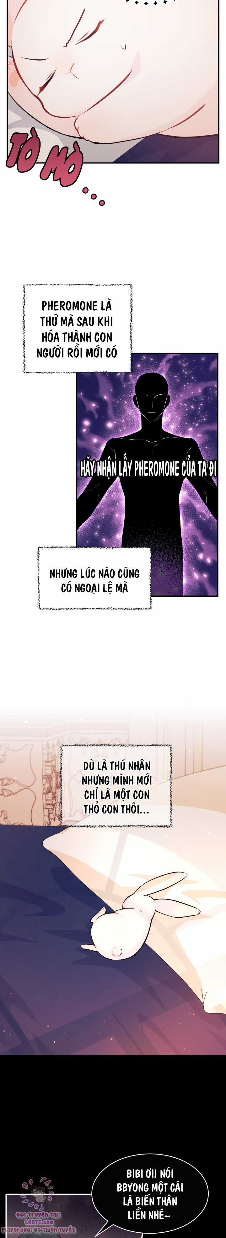 Quan Hệ Cộng Sinh Giữa Hắc Báo Và Bạch Thỏ Chapter 5 trang 15