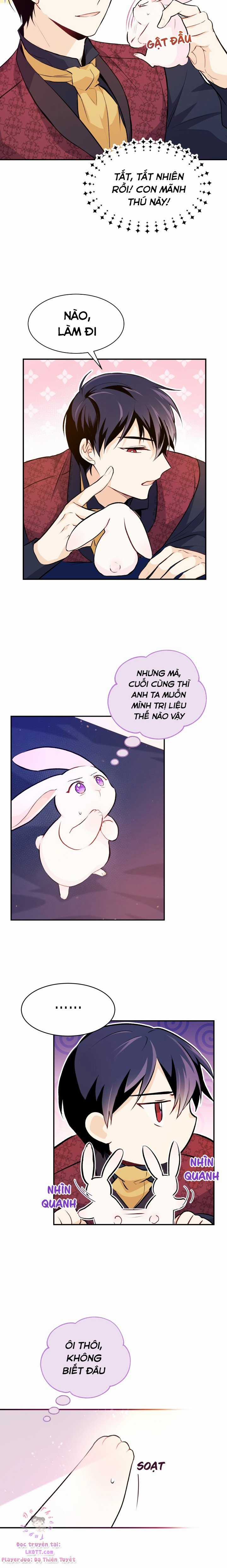 Quan Hệ Cộng Sinh Giữa Hắc Báo Và Bạch Thỏ Chapter 5 trang 22