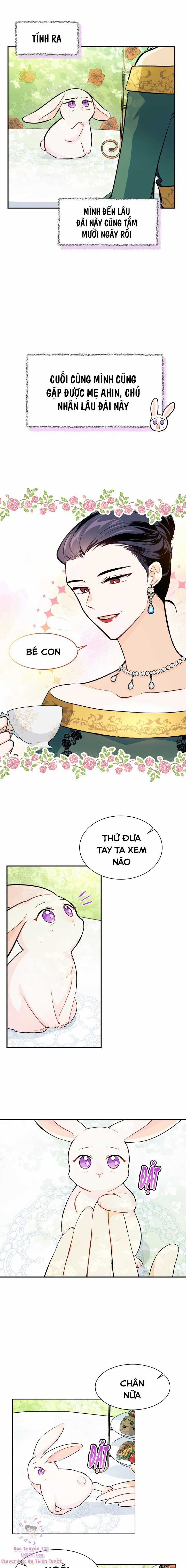 Quan Hệ Cộng Sinh Giữa Hắc Báo Và Bạch Thỏ Chapter 5 trang 7