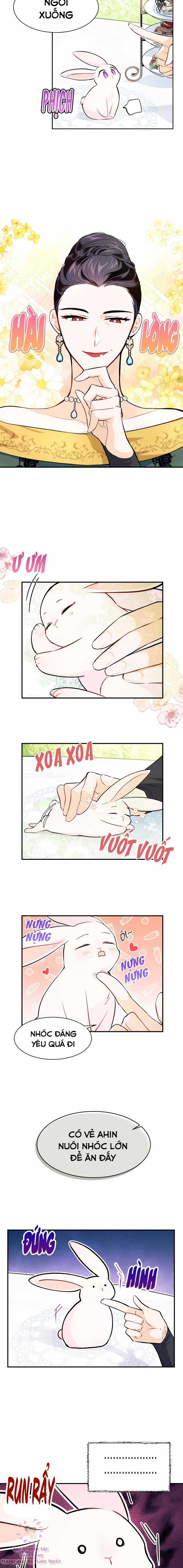 Quan Hệ Cộng Sinh Giữa Hắc Báo Và Bạch Thỏ Chapter 5 trang 8